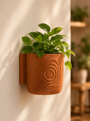 Wall Mounted Ripple Planter with Hidden Drip Tray