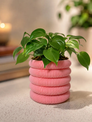 Coins Planter with Hidden Drip Tray