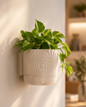 Wall Mounted Ripple Planter with Hidden Drip Tray