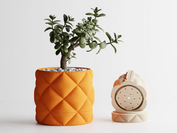 Wall Mounted Inflated Pillow Planter with Hidden Drip Tray